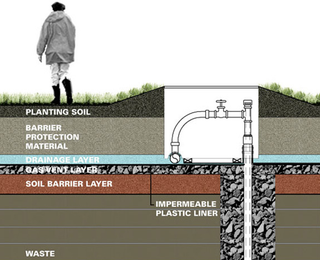 Illustration for article titled How to Rebuild a Broken Ecosystem — Yes, You Can Do It, Too!